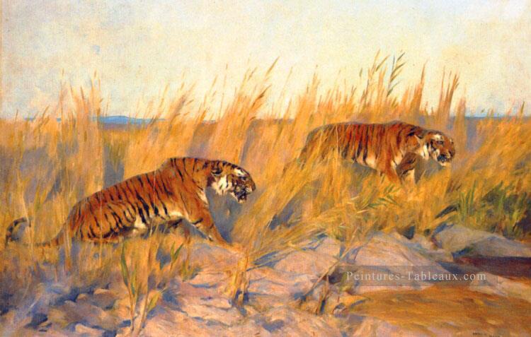 Tigres Arthur Wardle Peintures à l'huile